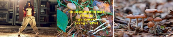 кокс Алексеевка