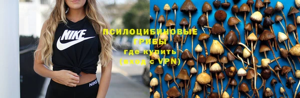 крисы Алзамай