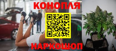 ешки Чебоксары