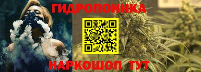 СК Чапаевск